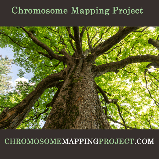 Chromosome Mapping Project